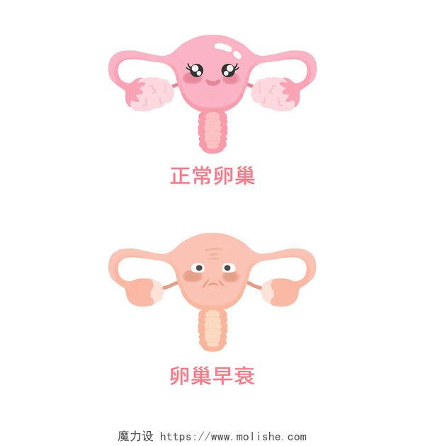 卡通卵巢子宫衰竭妇科正常卵巢和早衰卵巢插画世界卵巢日